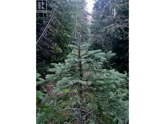 Lot 1 Neville Road Golden, British Columbia in Land for Sale in Revelstoke - Image 12