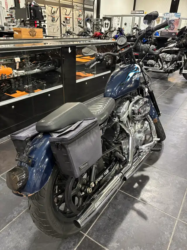 2009 Harley-Davidson Sportster 883 Low in Sport Bikes in Sudbury - Image 6