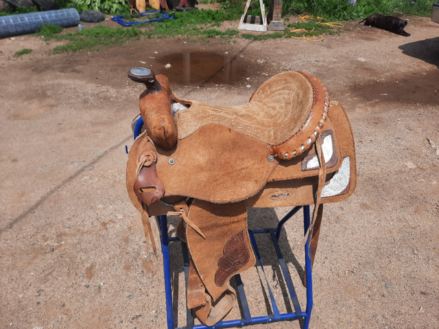 western saddle in Equestrian & Livestock Accessories in Annapolis Valley