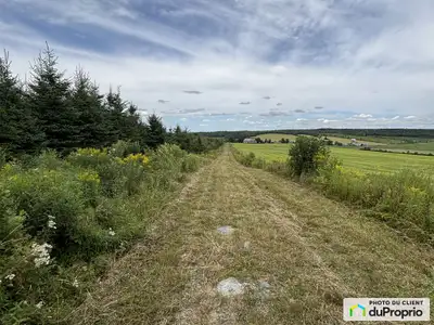 Belle terre à bois en pente avec un pré idéal pour un vignoble et une plantation d'épinette prêt à ê...