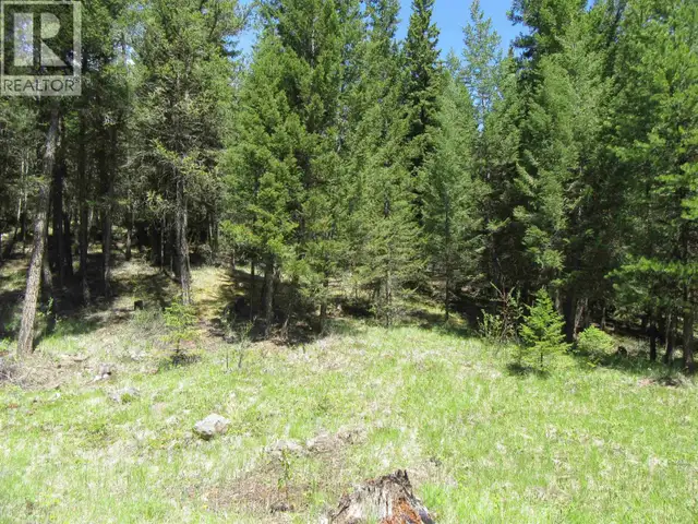 LOT 4 N BONAPARTE ROAD Bridge Lake, British Columbia in Houses for Sale in 100 Mile House - Image 21