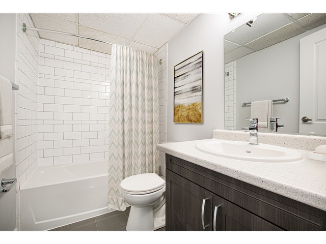 2 Bedroom Apartment for Rent - 95 Notch Hill Road in Long Term Rentals in Kingston - Image 3