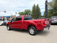 Double L Motors Ltd. FOR SALE: 2021 Ford F-150 XLT Crew Cab 4x4 Super Clean, well-maintained 2021 Fo... (image 3)