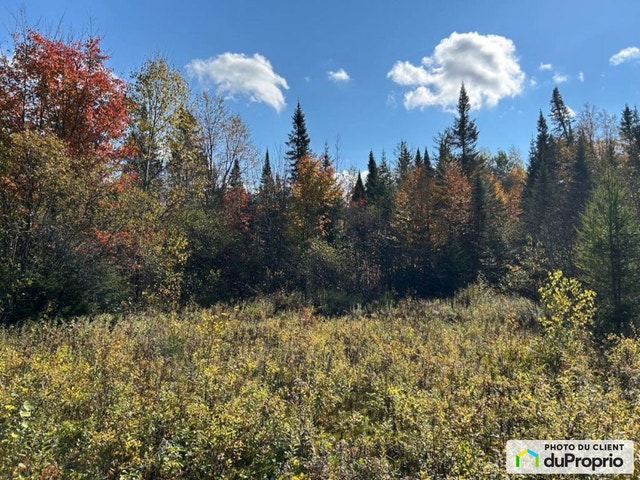 $85,000 - Residential Lot for sale in Ste-Agathe-Des-Monts — photo 3