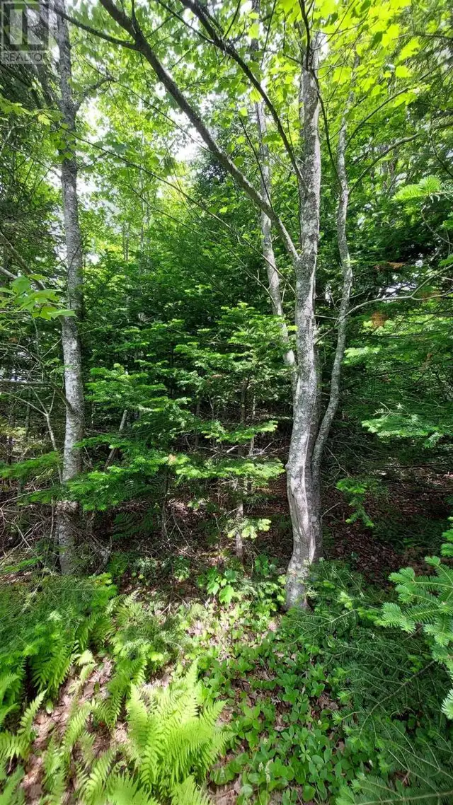 Lot 22 Kopylov Lane Kempt Road, Nova Scotia62863753884290124