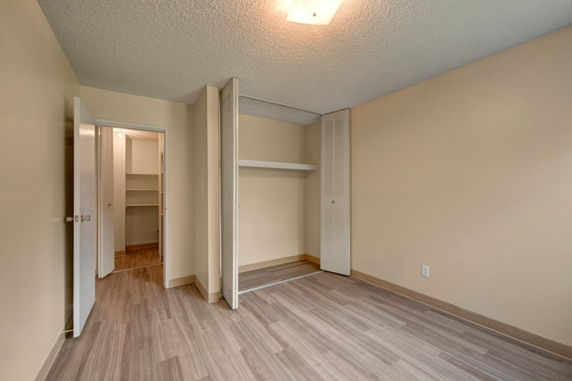 Spacious 3 Bedroom Apartments 1.5 Bathroom at only $1670 in Long Term Rentals in Edmonton - Image 2