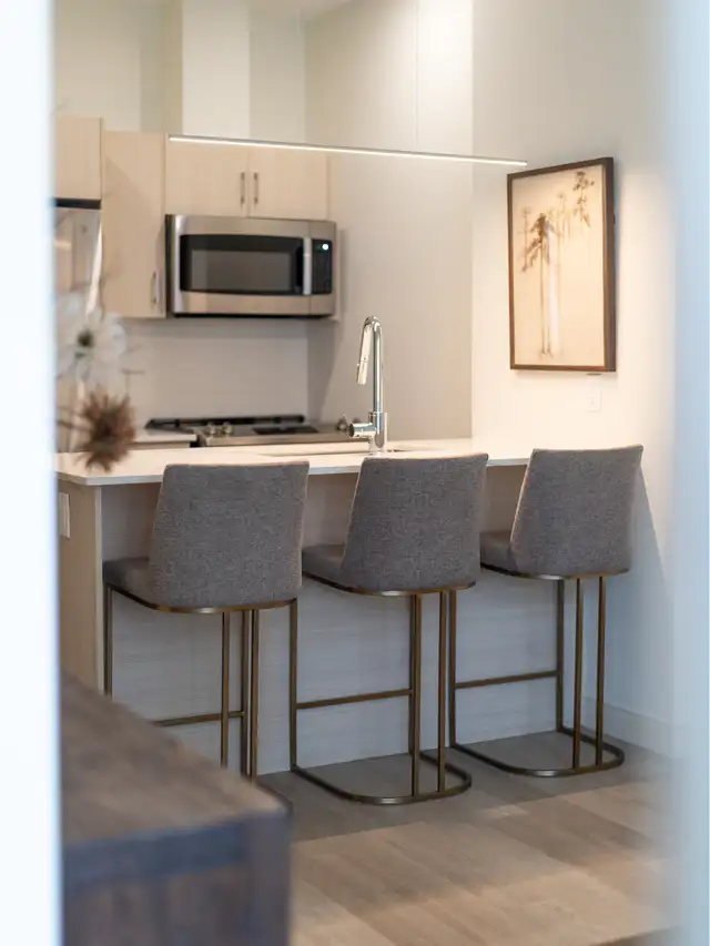 NOW LEASING SEPTEMBER 2026 | NEW 1 BEDROOM APT ON SPRING GARDEN in Long Term Rentals in City of Halifax - Image 10