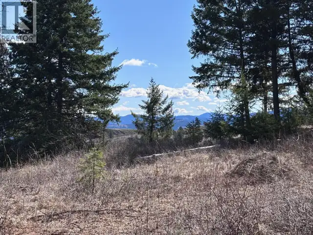 Lot 2 Hulme Creek Road Rock Creek, British Columbia in Land for Sale in Penticton - Image 6