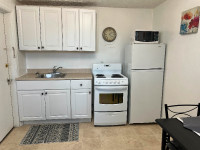 Drinkwater Street Apts-Fully Furnished Bachelor Apt for Rent