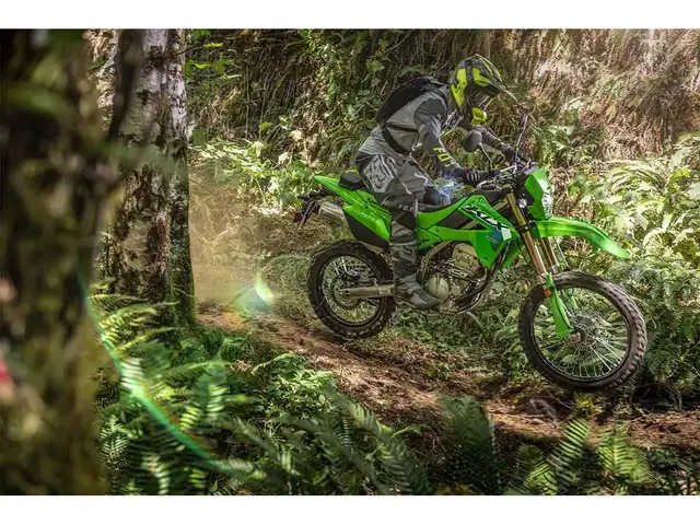 2026 Kawasaki KLX300 in Sport Bikes in Ottawa - Image 6