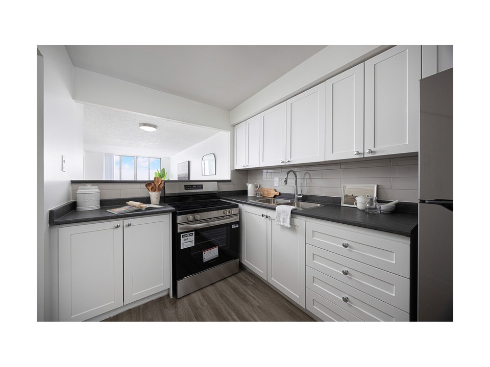 2 Bedroom Apartment for Rent - 430 McMurchy Avenue South 4