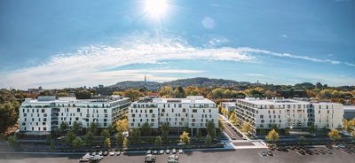3.5 condo appartement luxe à louer à Outremont-Milhaus, View more