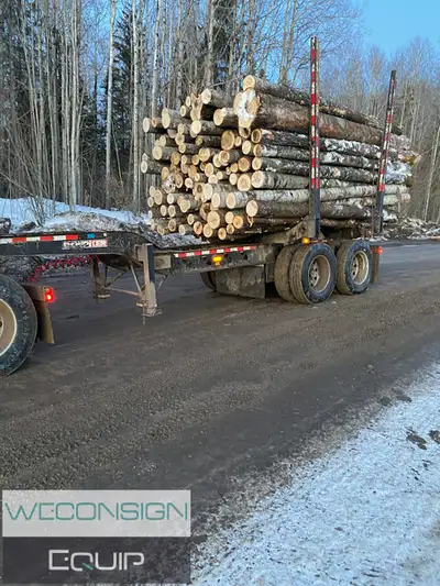 B TRAIN AB SHORT LOGGING TRAILER (Unit #02648) Located in High Prairie, AB, (6) Bunk 9'6" Wide, Ratc...