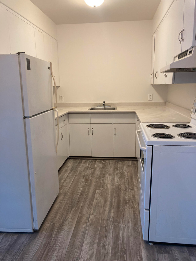 Leap Year special! Beautiful 1 Bedroom avail Feb 29th Long Term