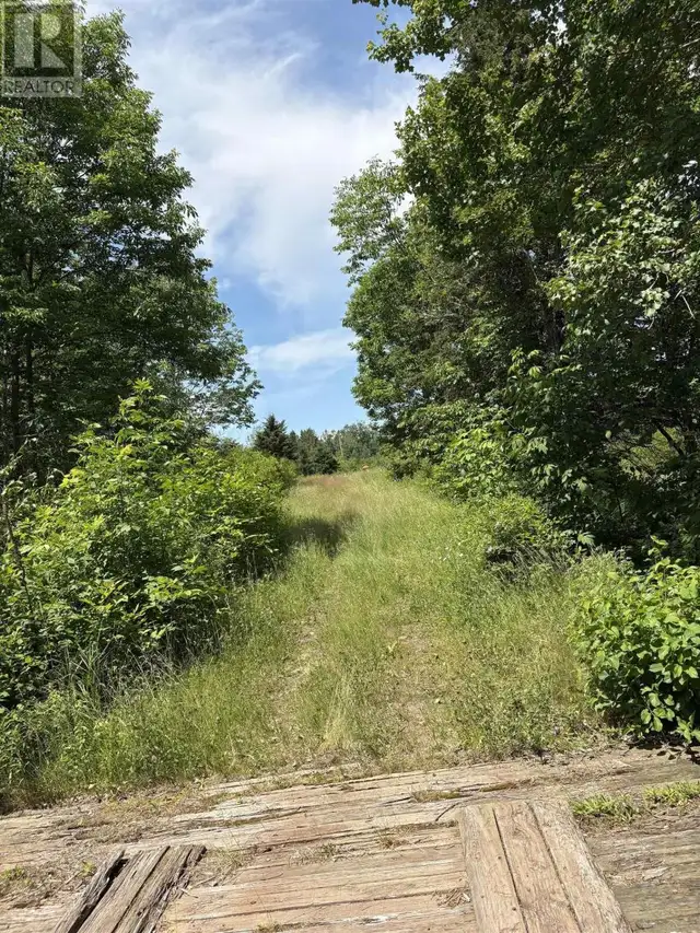 272 Breen Road Monastery, Nova Scotia in Land for Sale in New Glasgow - Image 18