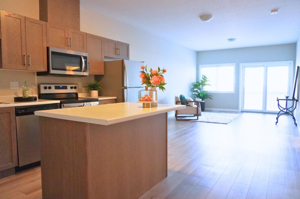 Luxury 2 Bedroom Main Floor Apartment- Guelph, 7 Stevenson 4