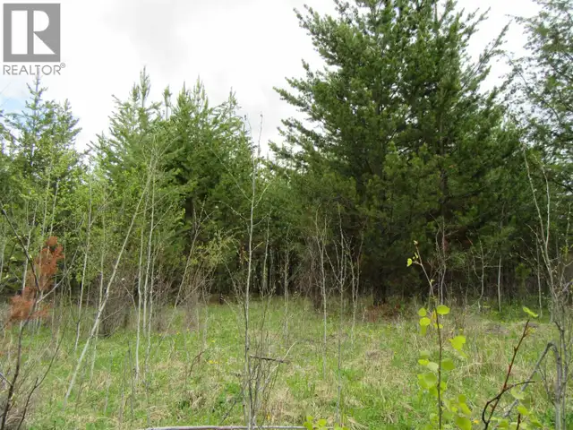 LOT B LONE BUTTE HORSE LAKE ROAD Lone Butte, British Columbia in Land for Sale in 100 Mile House - Image 20