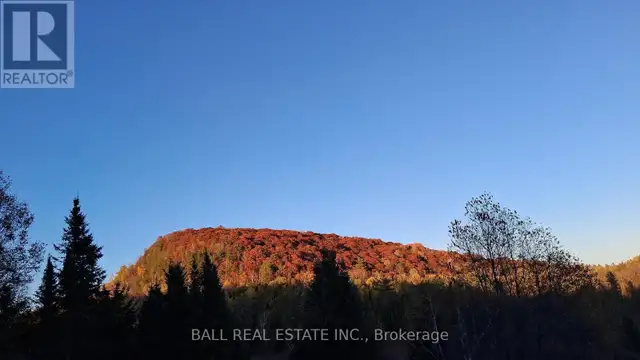 146 BUCK HILL ROAD Hastings Highlands (Monteagle Ward), Ontario in Houses for Sale in Trenton - Image 39