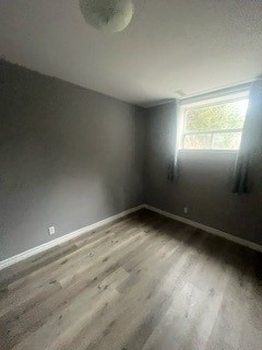 Newly renovated, lower unit in Omemee! in Long Term Rentals in Kawartha Lakes - Image 3