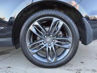 Heated Seats | Cooling Seats | Heated Steering Wheel | Wireless Phone Connectivity | Apple Carplay/A... (image 9)