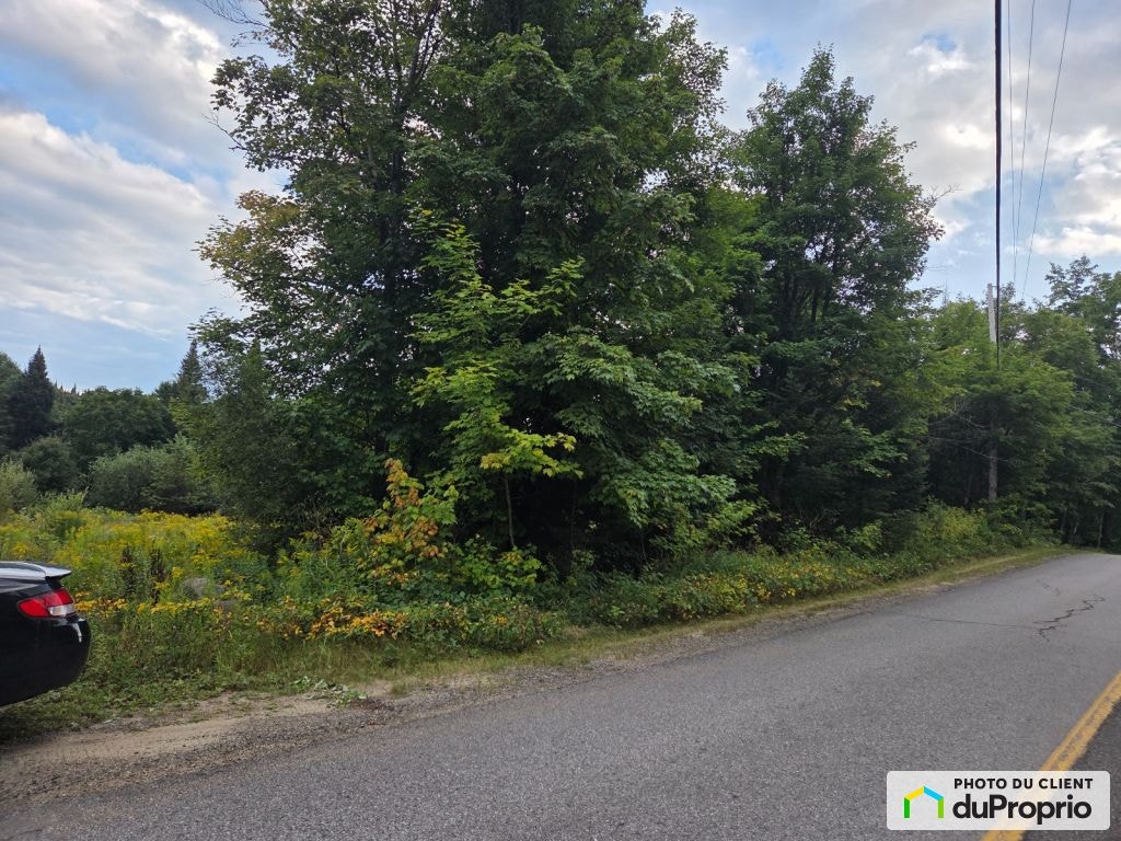 $123,500 - Residential Lot for sale in Lac-Superieur — photo 3