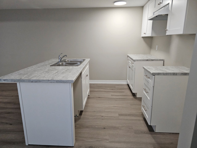 35 Superior Street  - 2 - Lower House for Rent in Long Term Rentals in St. Catharines - Image 2