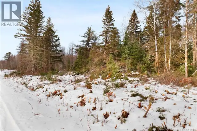 Lots 25-1 & 25-3 Cumberland Bay North Road Cumberland Bay, New B in Land for Sale in Saskatoon - Image 20