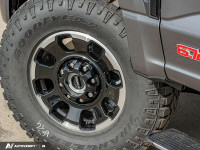 Leather Seats, Tremor Off-Road Package, Power Running Boards! THIS VEHICLE IS LOCATED AT DK FORD LED... (image 6)