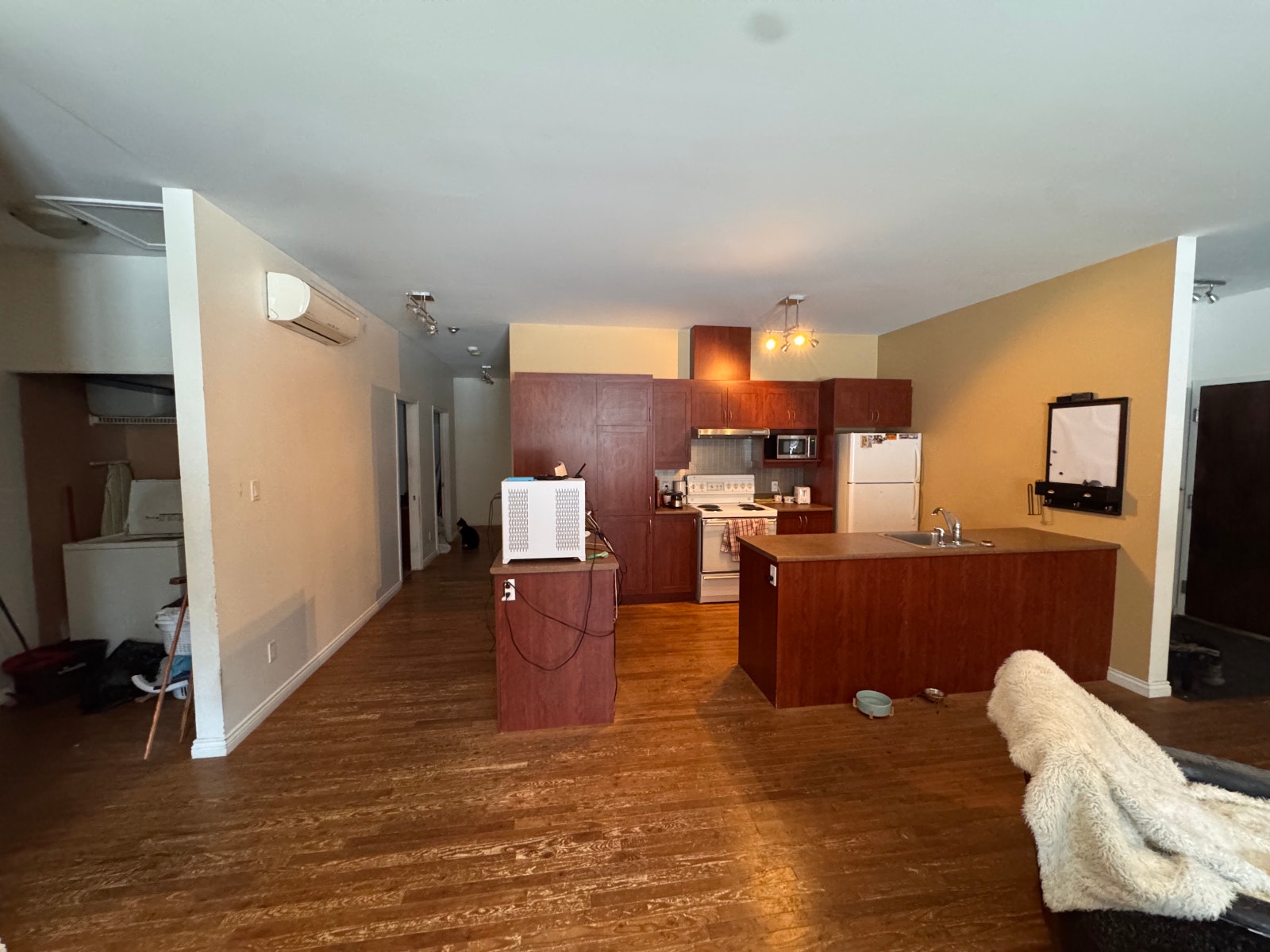229 Saint-Joseph Est — photo 3
