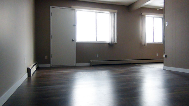 Queen Mary Park Apartment For Rent | Hansen House in Long Term Rentals in Edmonton - Image 4