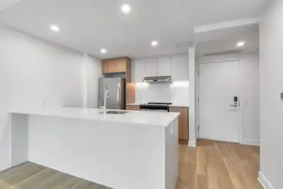 apartment for rent-appartement logement locatif-3 bedrooms/chambres-5 1/2-3cc-metro Papineau-ville-m...