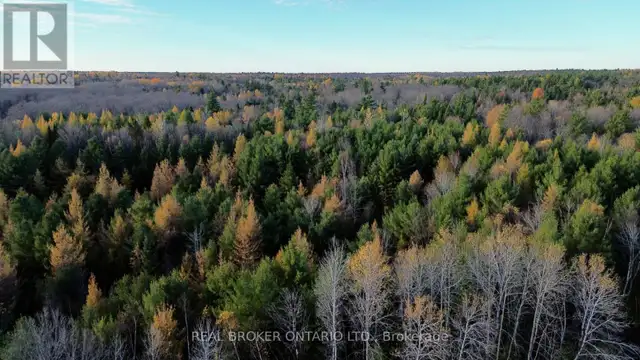 LOT 2 WATSONS CORNERS ROAD Lanark Highlands, Ontario in Land for Sale in Kingston - Image 7