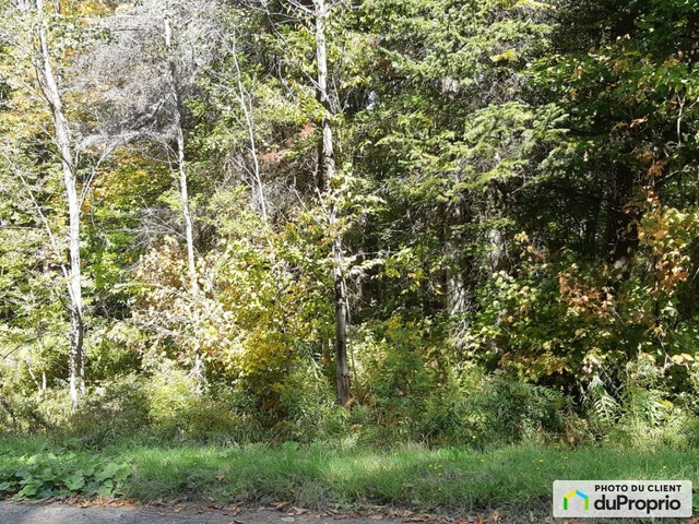 $66,000 - Residential Lot for sale in Weedon — photo 1
