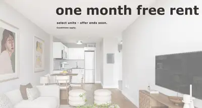 Renovated Akelius one bedroom apartment for rent. Located near College and Spadina in the Downtown W...