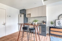 Appartement a louer-logement locatif-apartment for rent-condo rental-2.5 2 1/2 Studio-Griffintown-So... (image 5)