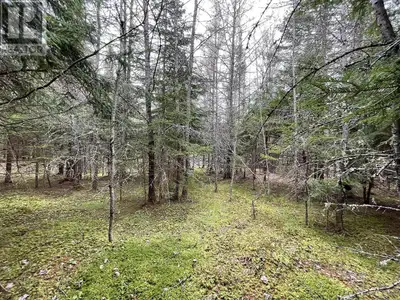 Discover 12.3 acres of beautiful, treed land featuring a mix of hardwood and softwood. Perfect fora...
