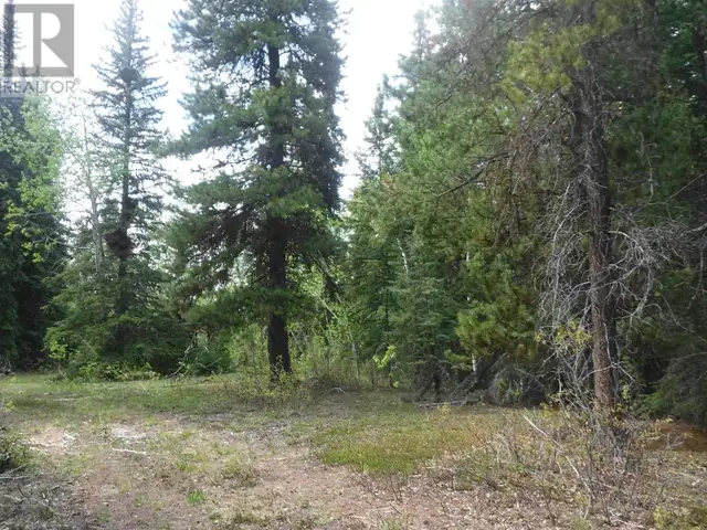 CHILCOTIN HIGHWAY Chilcotin, British Columbia in Land for Sale in Burns Lake - Image 12