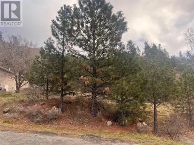 Great building lot untouched by fires, in the re-growing village of Lytton, close to the Cascades wi...