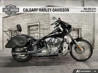 2003 Harley-Davidson Softail Standard