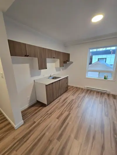 4 1/2 rénové à louer à Louiseville ✅ Disponible maintenant 1225 $/mois 81 rue Petite-Rivière, Louise...