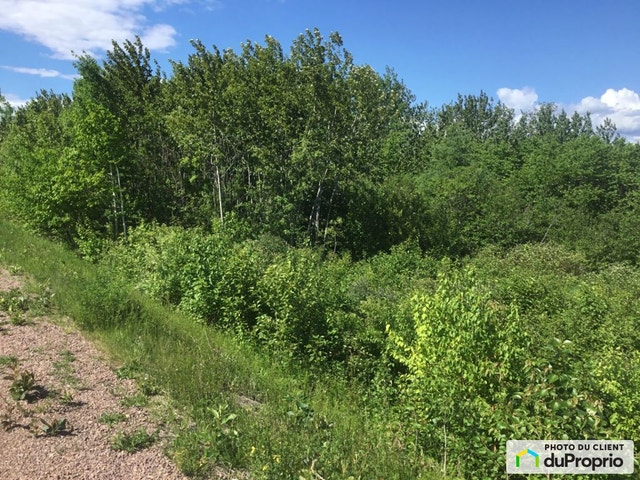 $125,000 - Residential Lot for sale in Nouvelle — photo 3