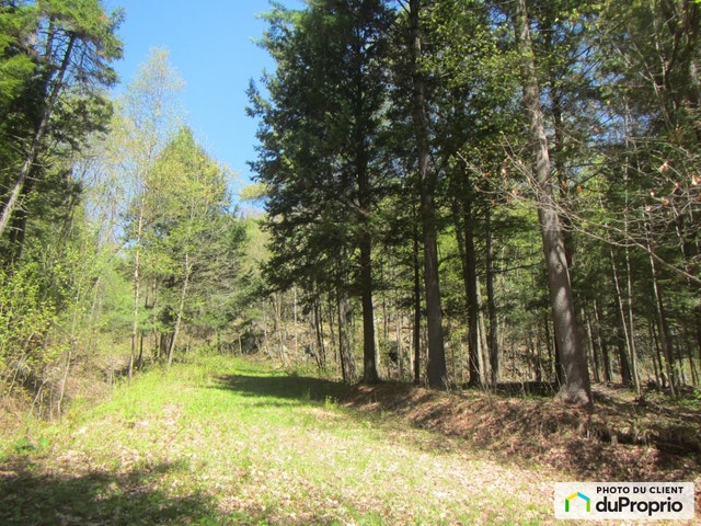 $359,000 - Residential Lot for sale in Pointe-Au-Chene — photo 3