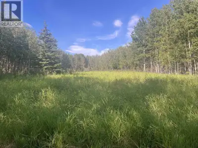 60 acres of land located off North Pine Road, offering both opportunity and income potential. This p...