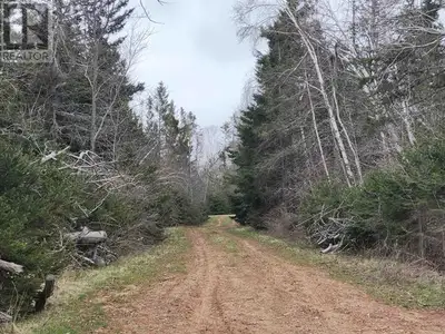 Private 2.5-Acre Treed Lot This spacious, surveyed 2.5-acre property offers privacy and natural surr...