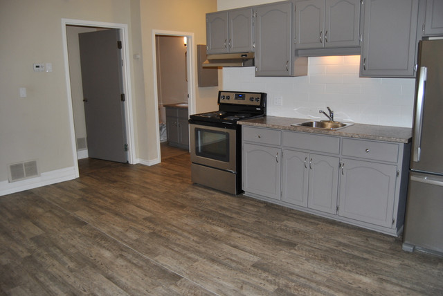 Cozy One Bedroom Downtown in Long Term Rentals in Guelph - Image 2