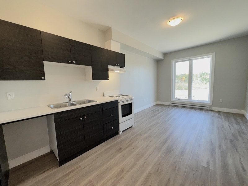 Penetanguishene: Accessible Unit,1 Bed, 1 Bath (689 sq ft) 4