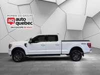FORD F-150 XLT SUPER CREW 4WD 2023 PACKAGE SPORT 302A / FX4 V8 5.0L Toit Panoramique 1 Proprio Jamai... (image 6)
