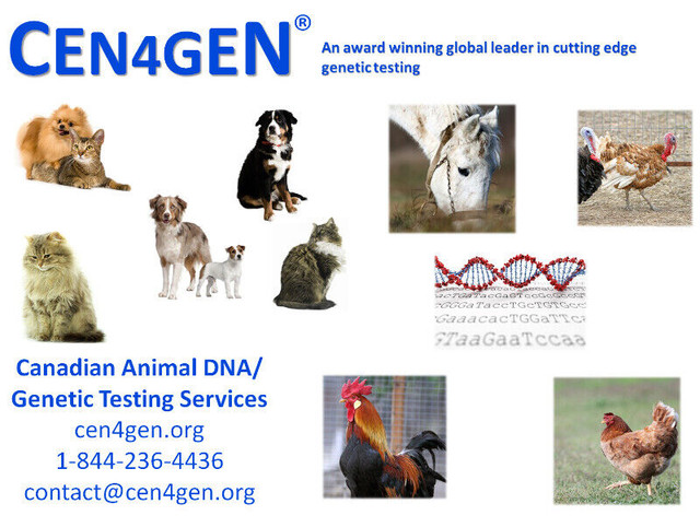 Important DNA/Genetic testing for animals in Animal & Pet Services in Yellowknife - Image 2