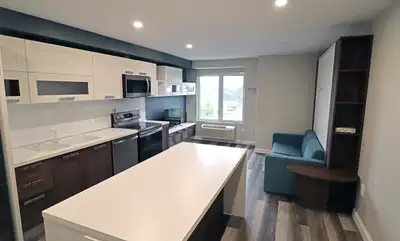 Studio Sized Furnished Apartments For Rent In Sudbury Welcome to our newly furnished bachelor-sized...