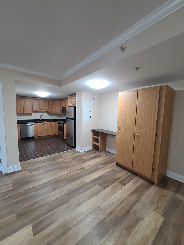 Modern Downtown Halifax Luxury - Unit 101 The James - Sept 7th! in Long Term Rentals in City of Halifax - Image 3